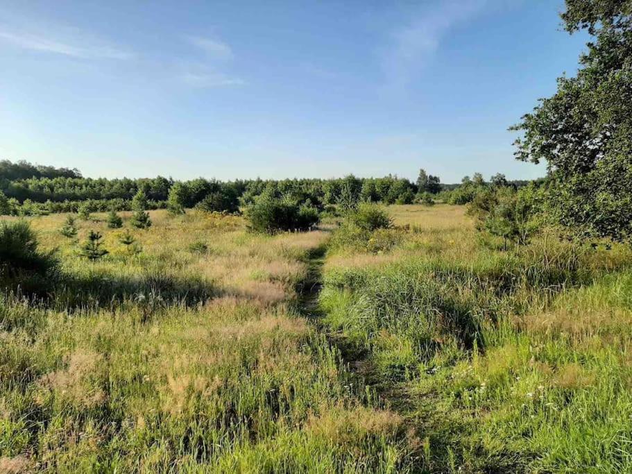 Eikzicht Gelegen Aan Het Bos Hébergement de vacances *