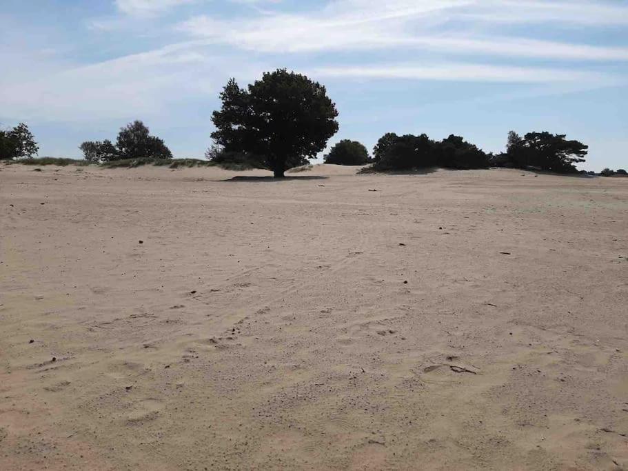 Eikzicht Gelegen Aan Het Bos Hébergement de vacances